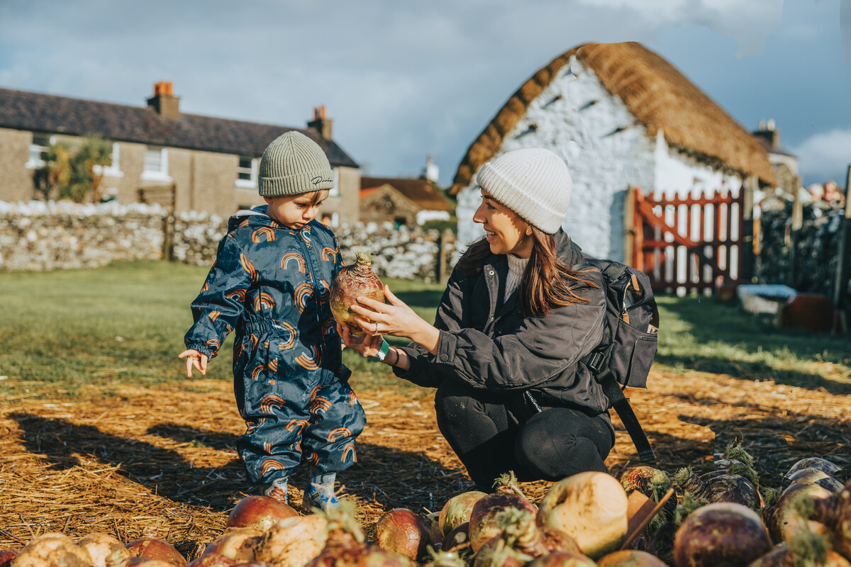 Turnip Picking